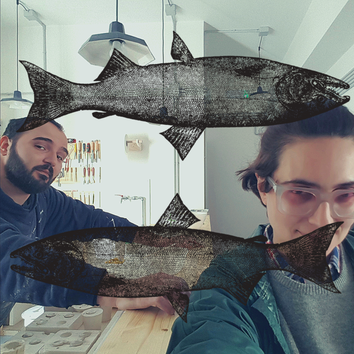 I salmoni che fanno l’autostop